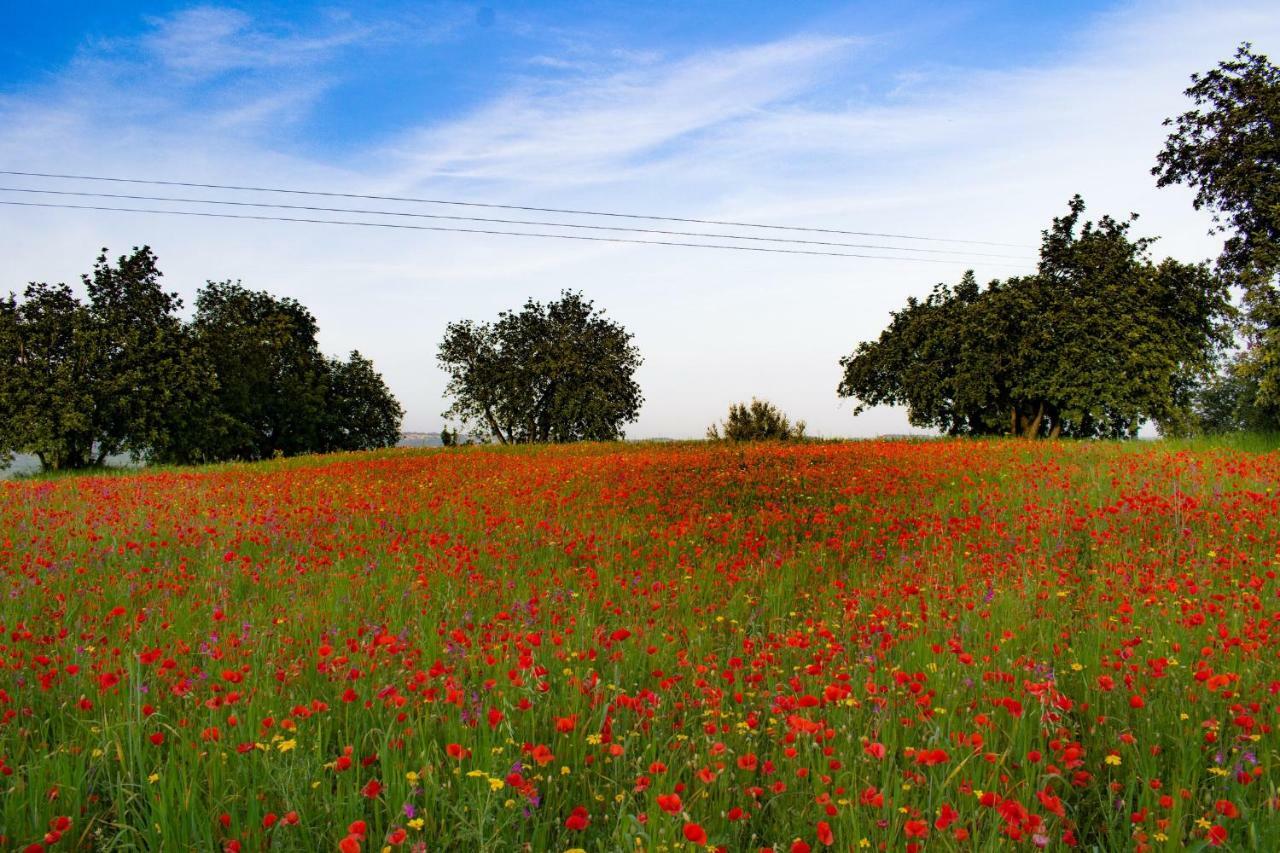 Agriturismo Villa Gaia Modica Kültér fotó